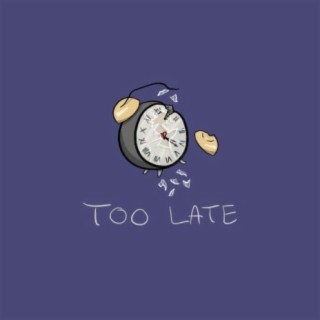 Too Late lyrics | Boomplay Music