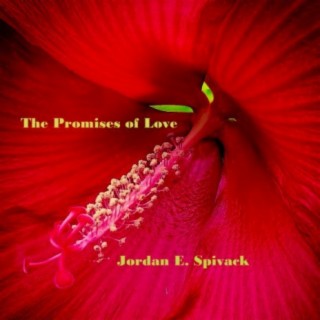 The Promises Of Love