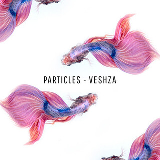 Particles