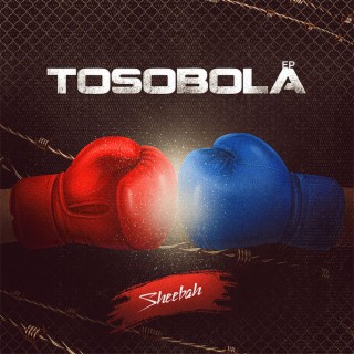 Tosobola lyrics | Boomplay Music