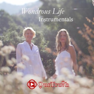 Wondrous Life Instrumentals (Instrumental) | Boomplay Music