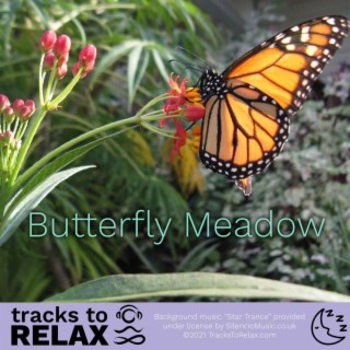 Butterfly Meadow Sleep Meditation