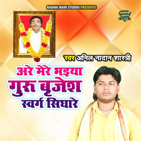 Arre Mere Bhaiya Guru Brijesh Swarg Sidhare | Boomplay Music