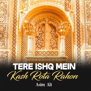 Tere Ishq Mein Kash Rota Rahon