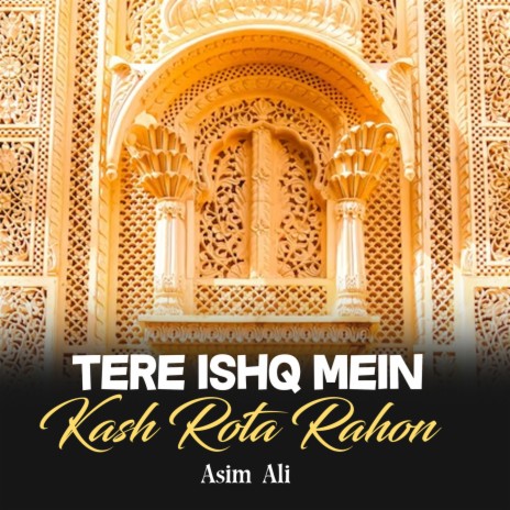 Tere Ishq Mein Kash Rota Rahon | Boomplay Music