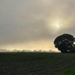 Muntjac (Happy With That) lyrics | Boomplay Music