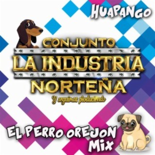 Huapango Mix Perro orejon