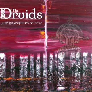 The Druids Irish Folk Band