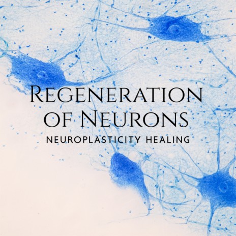 Regeneration of Neurons