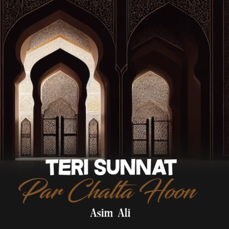 Teri Sunnat Par Chalta Hoon | Boomplay Music