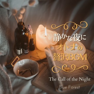 静かな夜に〜大人の贅沢bgm〜 - The Call of the Night