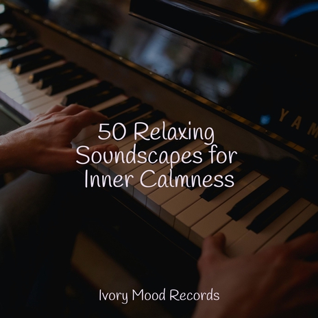 Whimsical Cyclone Serenade ft. Piano Love Songs & Música Zen Relaxante | Boomplay Music