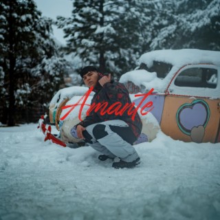 AMANTE lyrics | Boomplay Music