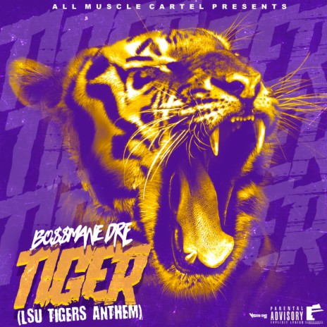 Tiger (LSU Tigers Anthem)