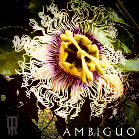 AMBIGUO | Boomplay Music