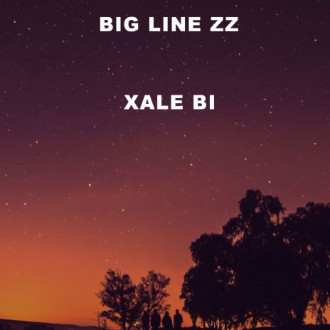Xale Bi | Boomplay Music