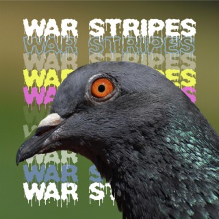 War Stripes