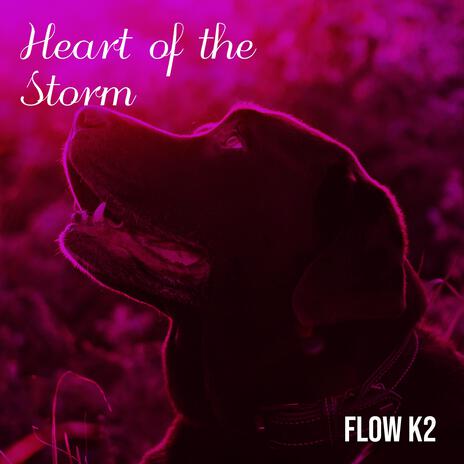 Heart of the Storm | Boomplay Music