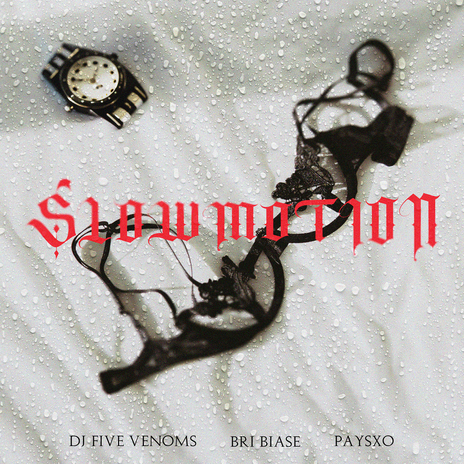 Slow Motion ft. Bri Biase & Paysxo | Boomplay Music