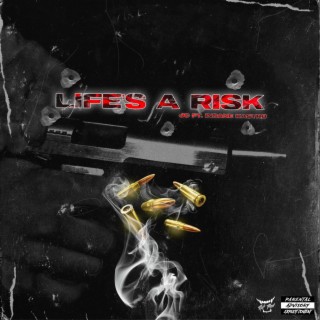 Life's A Risk (Remix)