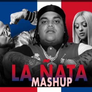 La Ñata (Mashup)