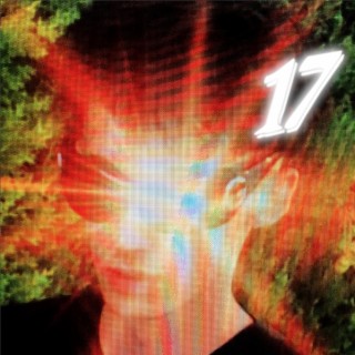 17#