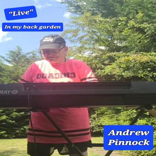 My back garden July 2024 (Live)