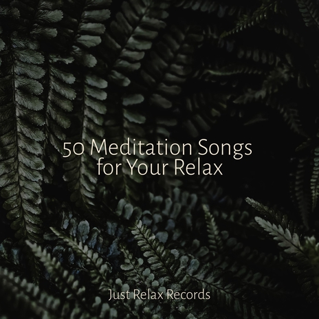 Melodic Bliss in Tune ft. Musica Reiki & Forest Sounds | Boomplay Music