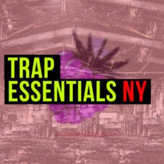 Trap Essentials NY