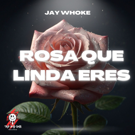 Rosa Que Linda Eres - TECH HOUSE (Radio Edit) | Boomplay Music