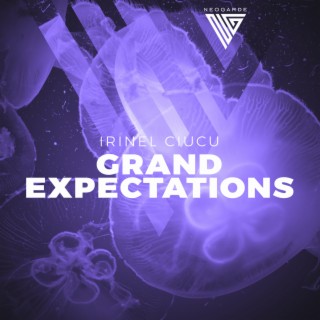 Irinel Ciucu - Grand Expectations