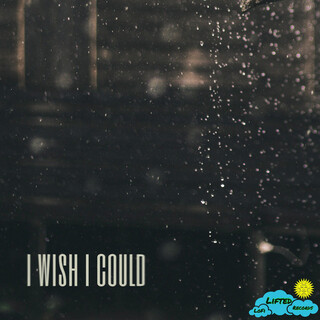 I Wish I Could