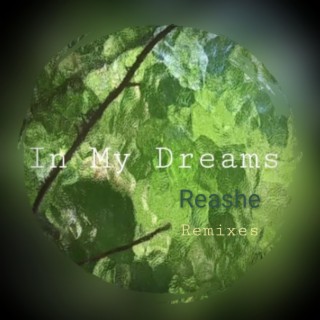 In My Dreams: The Remixes (Remix)