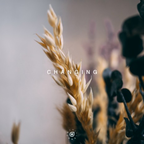 Changing ft. Hildur Ottilia | Boomplay Music