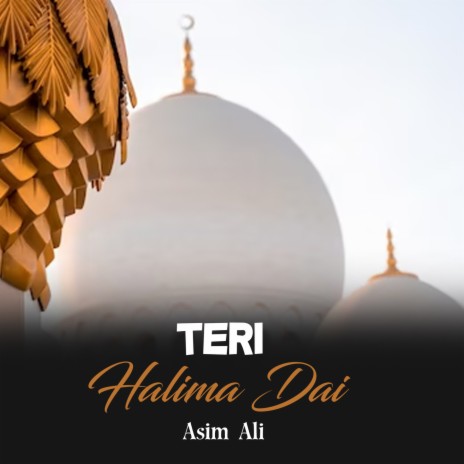 Teri Halima Dai | Boomplay Music