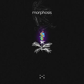 morphosis