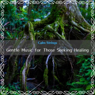 Gentle Music for Those Seeking Healing