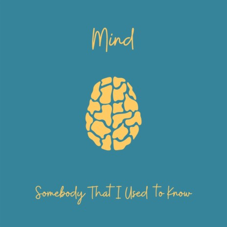 Somebody That I Used to Know | Boomplay Music