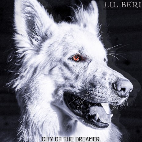 City of the Dreamer | Boomplay Music
