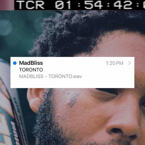 toronto | Boomplay Music