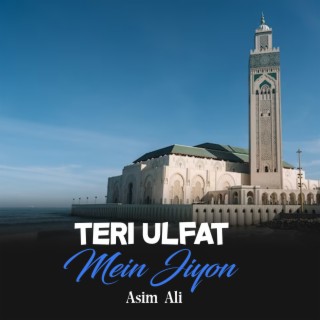 Teri Ulfat Mein Jiyon