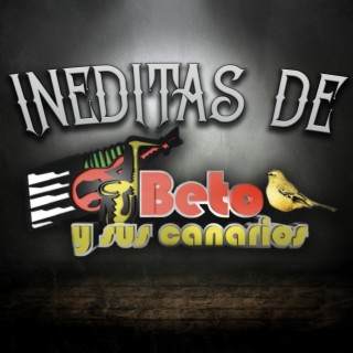 Beto Y Sus Canarios Songs MP3 Download, New Songs & Albums | Boomplay