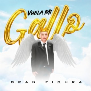 Vuela Mi Gallo