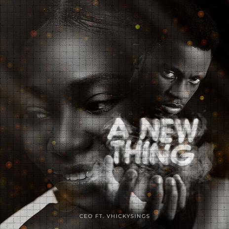 A New Thing (feat. Vhickysings) | Boomplay Music