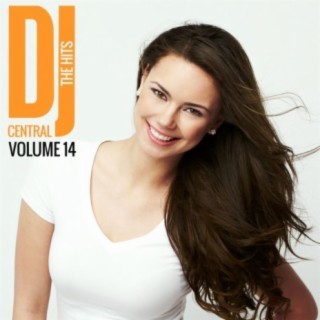 DJ Central The Hits, Vol. 14