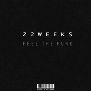 Feel The Funk EP