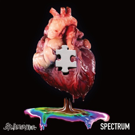 Spectrum (Album Mix) | Boomplay Music