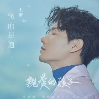 微而足道（電視劇《親愛的孩子》影視原聲） lyrics | Boomplay Music