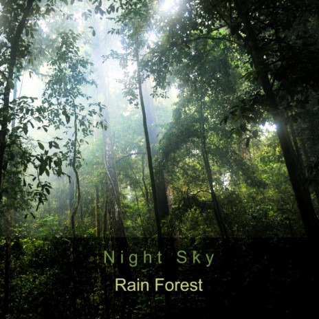 Rain Forest (Original Mix) | Boomplay Music