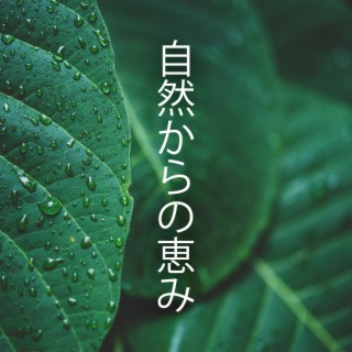 自然からの恵み: 自然なサウンドスケープで絶対的な心のリラクゼーション音楽、深い眠り、心配なし、不安解消のため